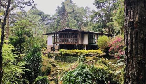 Holiday Home