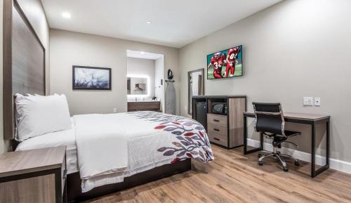 Suite King Room Non-Smoking