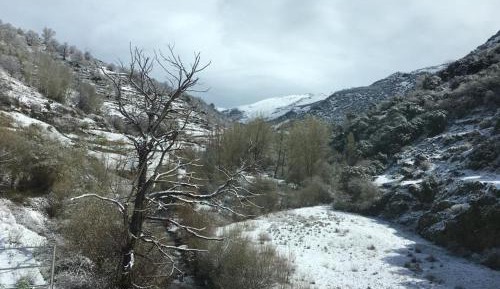 Apartment with Terrace