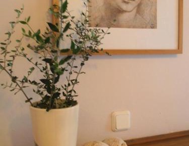 Suite (Up to 4 People)