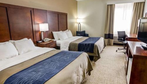 Queen Room with Two Queen Beds - Non-Smoking