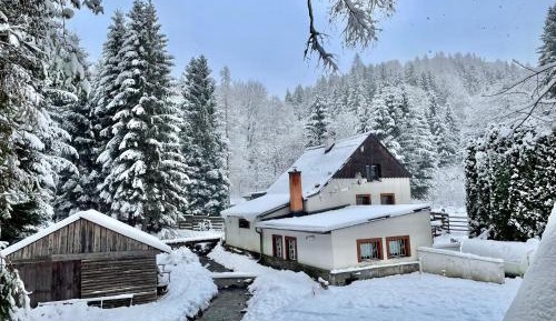 Chalet