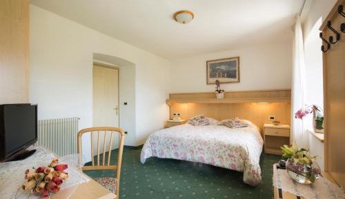 Double or Twin Room with Mountain View