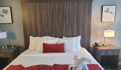 Executive Suite