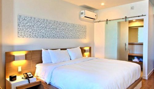 Executive Suite One King Bed and Murphy Bed