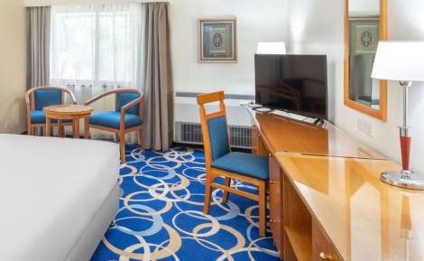 One-Bedroom Suite with Lounge Access