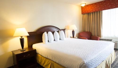 Standard King Room