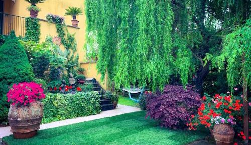 Double Room with Garden View