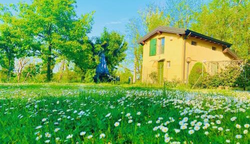 Family Room with Kitchen