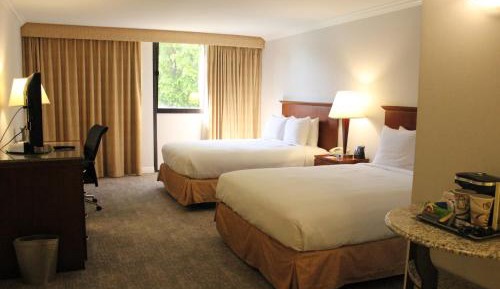 Queen Room with Two Queen Beds