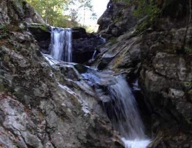 Large Two-Bedroom Apartment