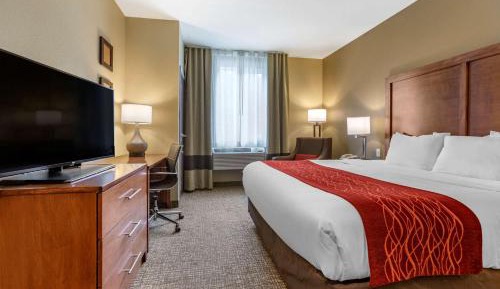 Standard King Room - Non-Smoking 