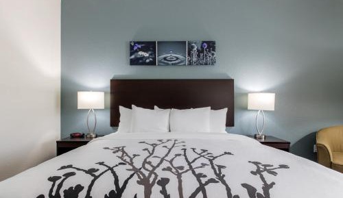 One-Bedroom King Suite with Sofa Bed - Non-Smoking