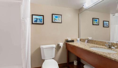 Standard King Room - Non-Smoking 