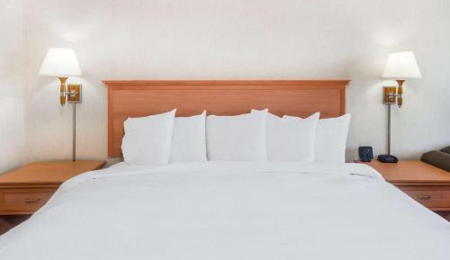 King Room - Mobility Access/Non-Smoking