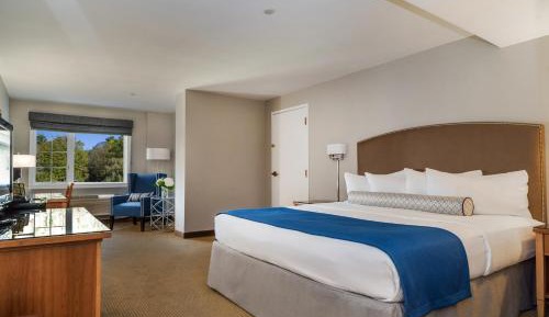 Standard King Room - Disability Access