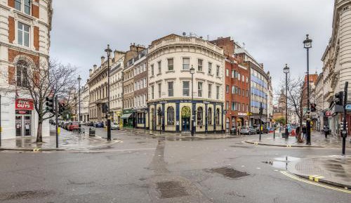 Classic One-Bedroom Apartment
