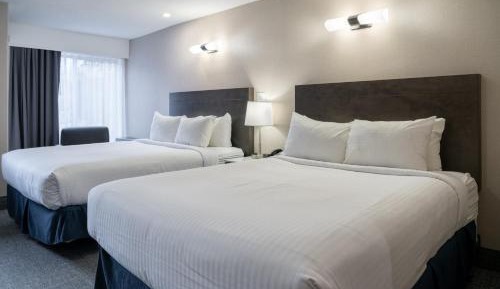 Standard Two Queen Room