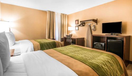 Double Room with Two Double Beds