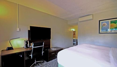 King Room - Non-Smoking