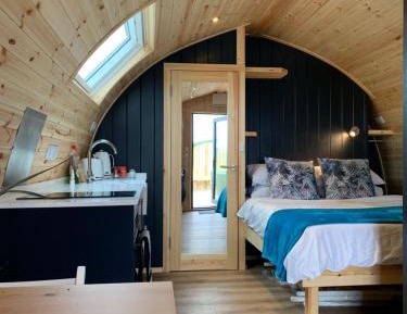 Deluxe King Suite