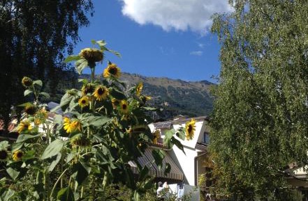 Apartment with Garden View