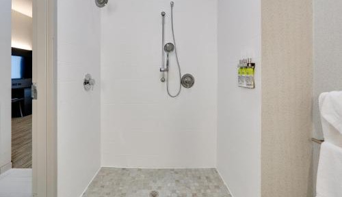 Deluxe Suite - Mobility Access Roll in Shower/Non-Smoking