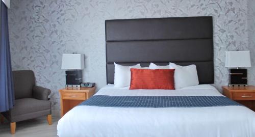 Executive King Room - Non-Smoking