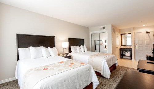 Double Room with Two Double Beds - Non-Smoking