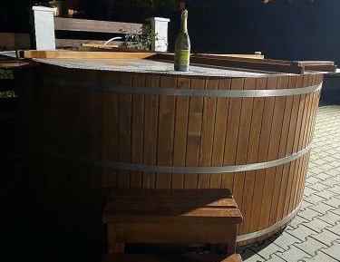 One-Bedroom Apartment (3 Adults)