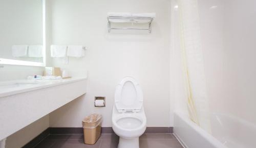 Deluxe Double Studio