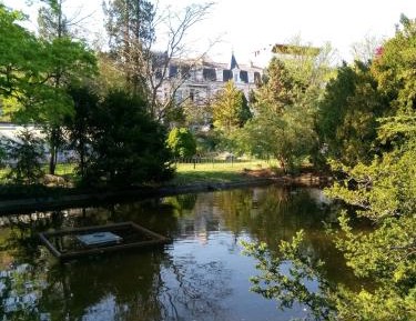 Apartment with Garden View