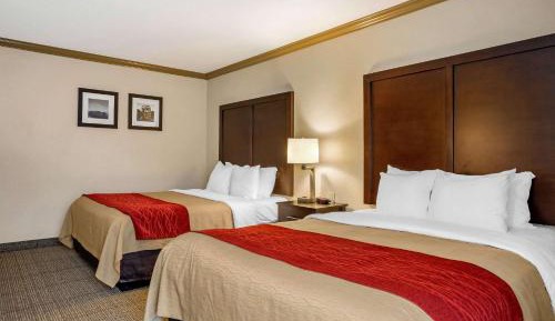 Queen Room with Two Queen Beds - Non-Smoking