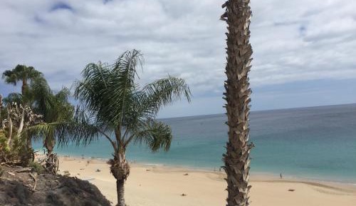 Studio Apartment with Sea View