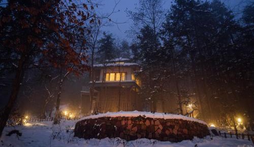 Glass Tree House King Room