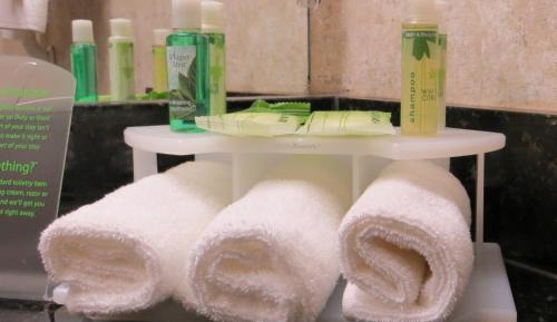 Standard King Room with Roll-in Shower - Mobility Accessible