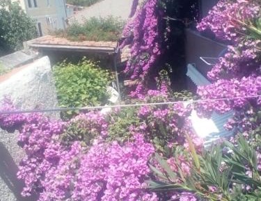 Deluxe Double or Twin Room with Garden View