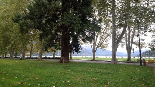 Studio with Lake View