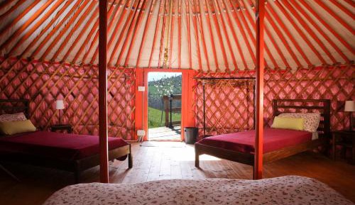 Large Tent (4 Adults)