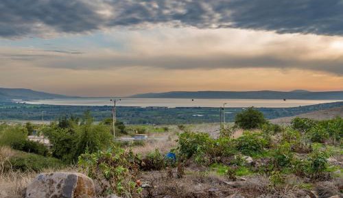 Suite with Private Pool