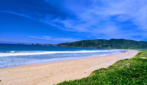 Apartment - Split Level