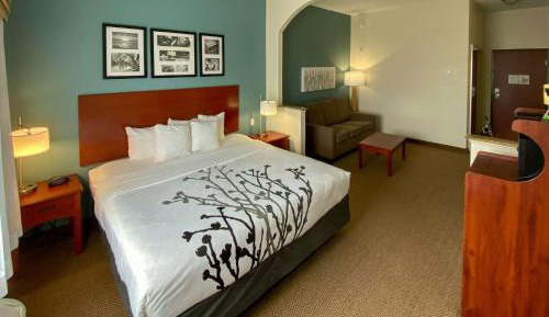 King Suite - Accessible/Non-Smoking