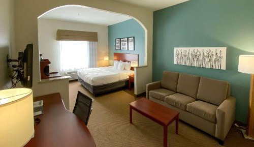 Deluxe King Suite with Sofa Bed