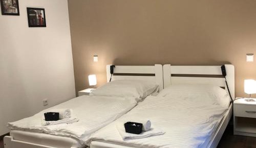 Double Room with Shared Bathroom