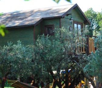 Olive Tree House