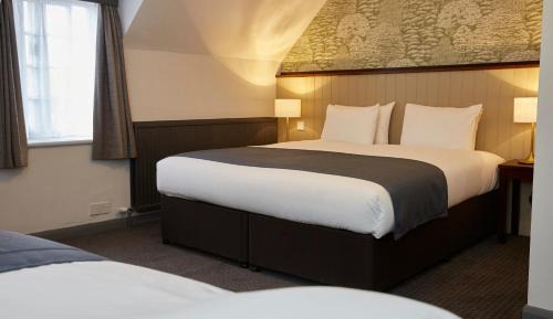 Family Room (2 Adults + 1 Child)