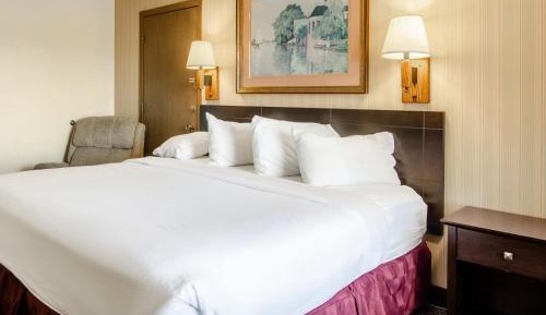 One King Bed Jetted Tub Non-Smoking