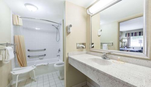 King Room with Roll-in Shower - Mobility Access/Non-Smoking