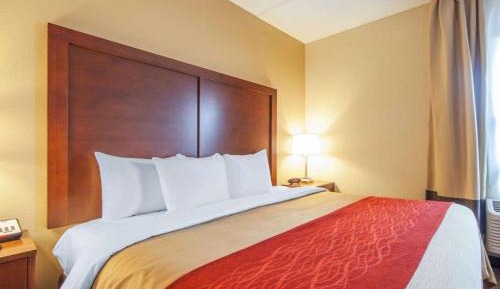 King Suite with Sofa Bed - Non-Smoking