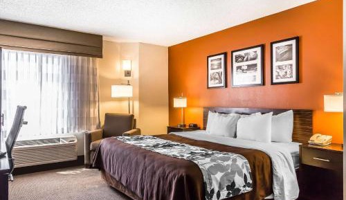 King Room - Non-Smoking